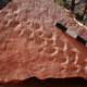 The reddish boulder embedded with 314-million-year-old footprints.